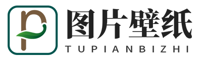 国产人久久人人人人爽-久久国产精品萌白酱免费-欧美肥婆性猛交xxxx-狠狠色噜噜狠狠狠狠色综合网
